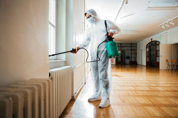 Best Termite Control Services  in Lifornia Polytechnic State University, CA